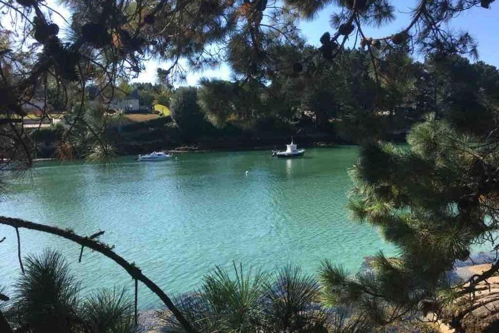 L'Olivier Du Cabellou, A 900 M Des Plages Concarneau Εξωτερικό φωτογραφία